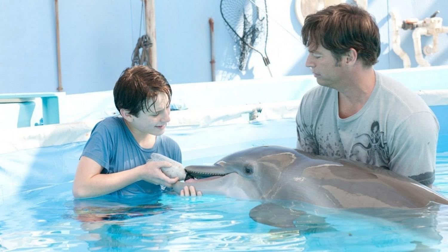 Dolphin Boy