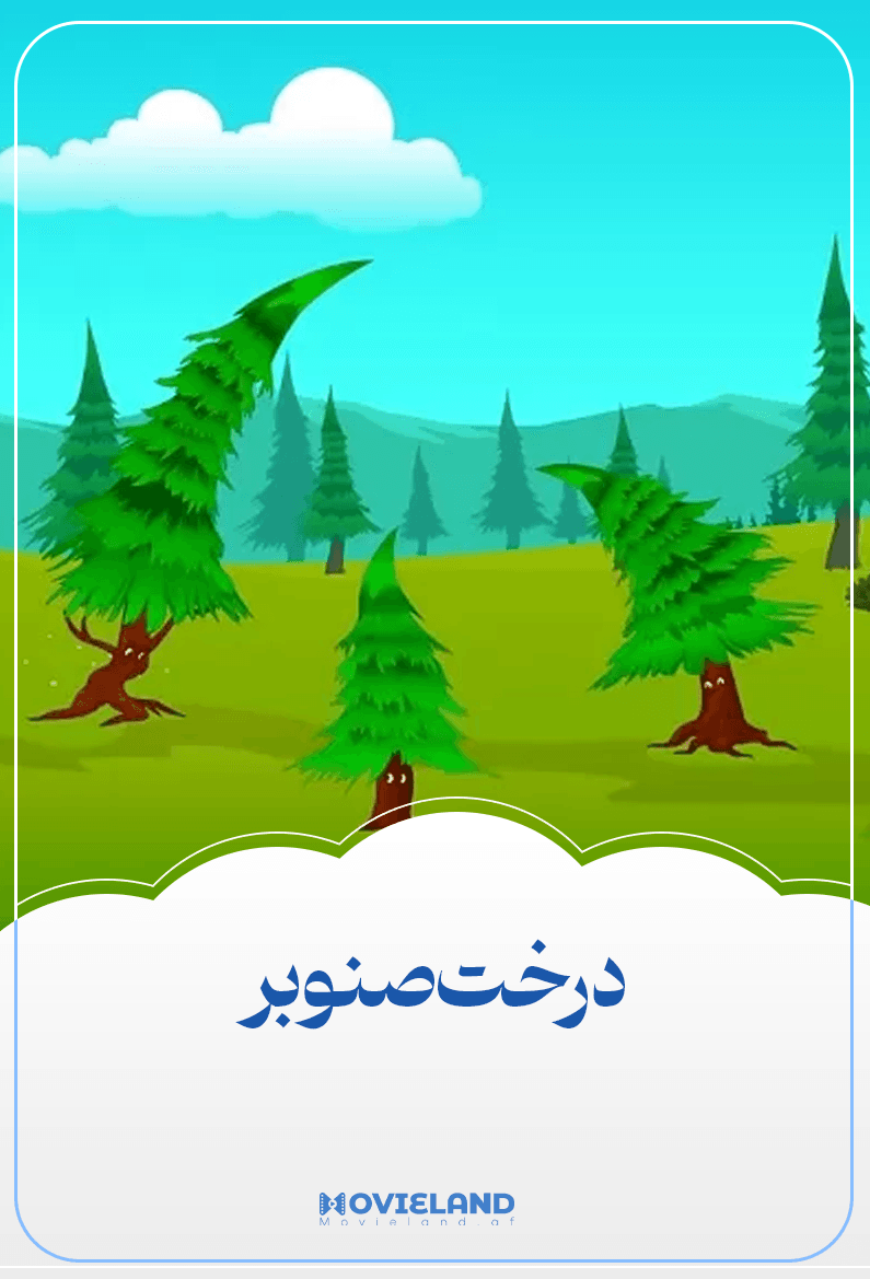درخت صنوبر